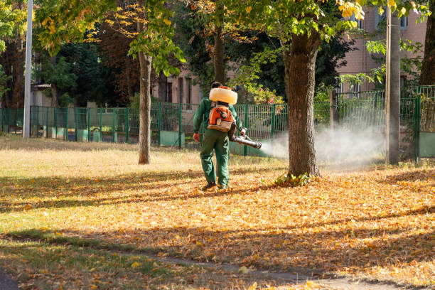 Professional Pest Control in Forsyth, GA